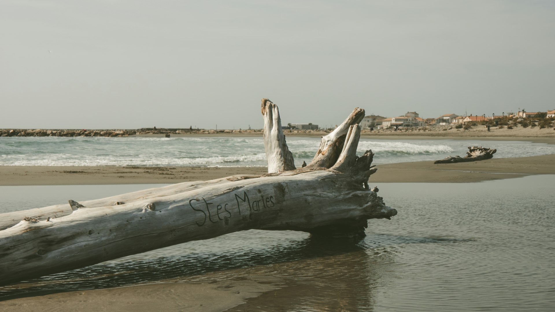 A large log laying on top of a sandy beach